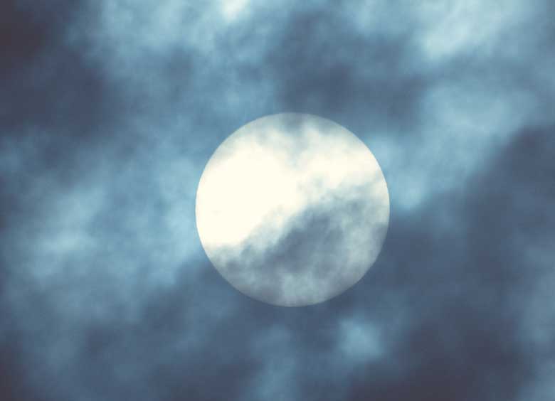 Embracing Your Moon Cycle