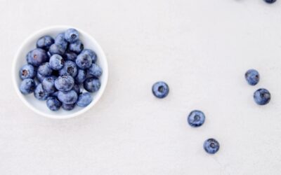 The Power of Wild Blueberries